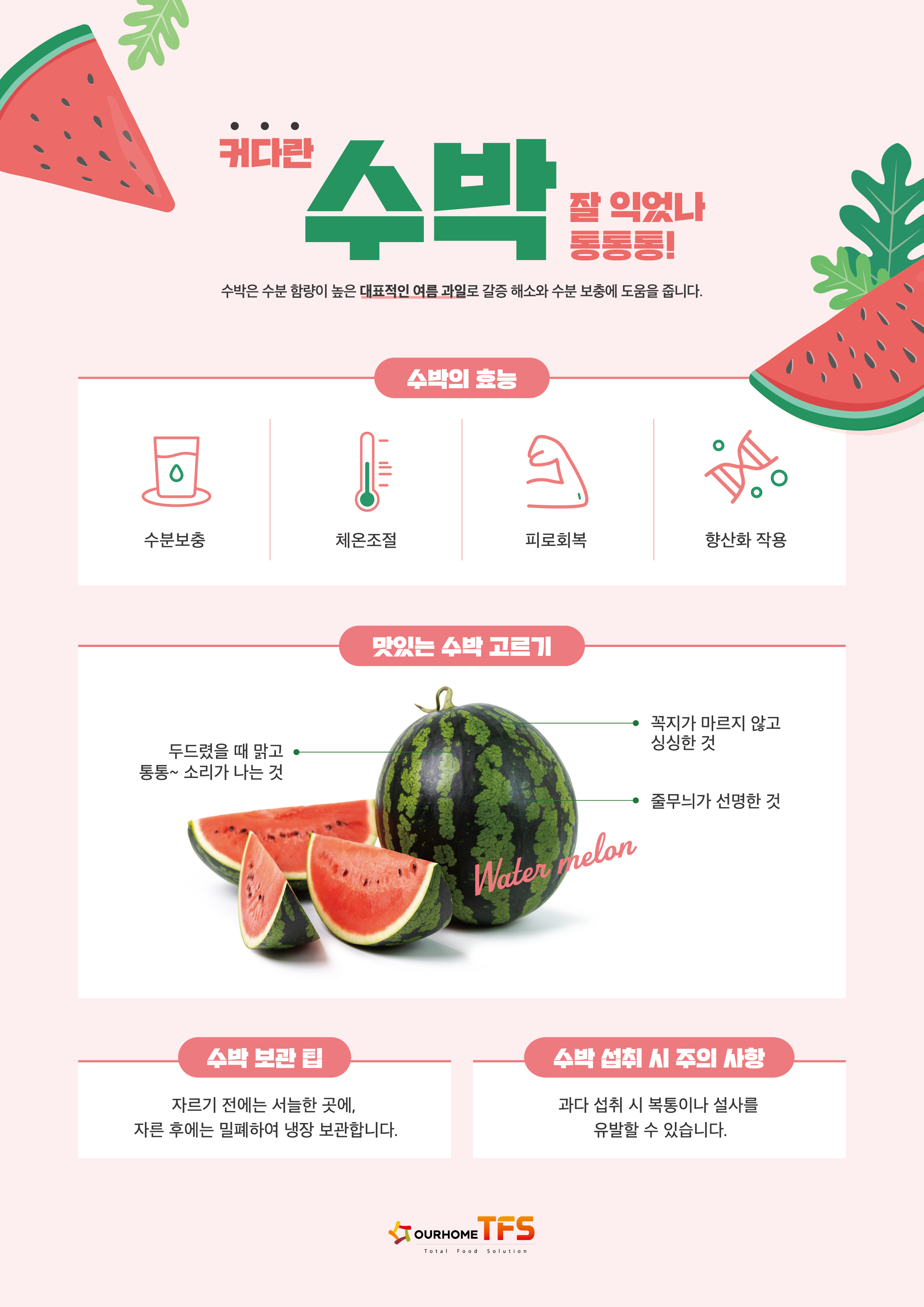 26.7 수박.jpg