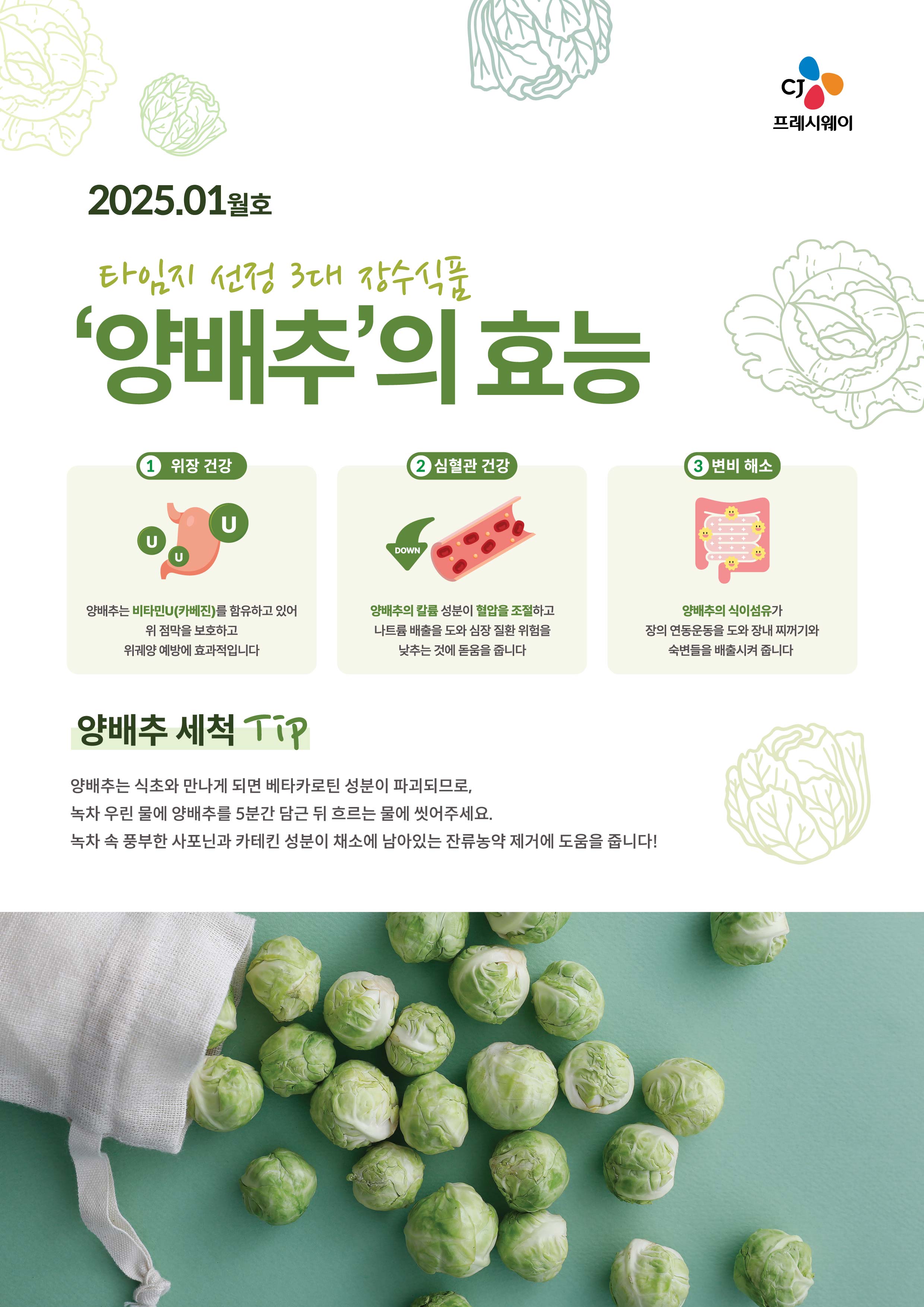 [cs6out]1월 테마정보지_양배추의 효능 (1).jpg