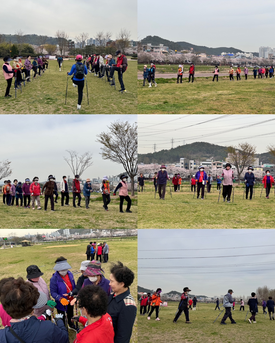 4.02 노르딕워킹.jpg