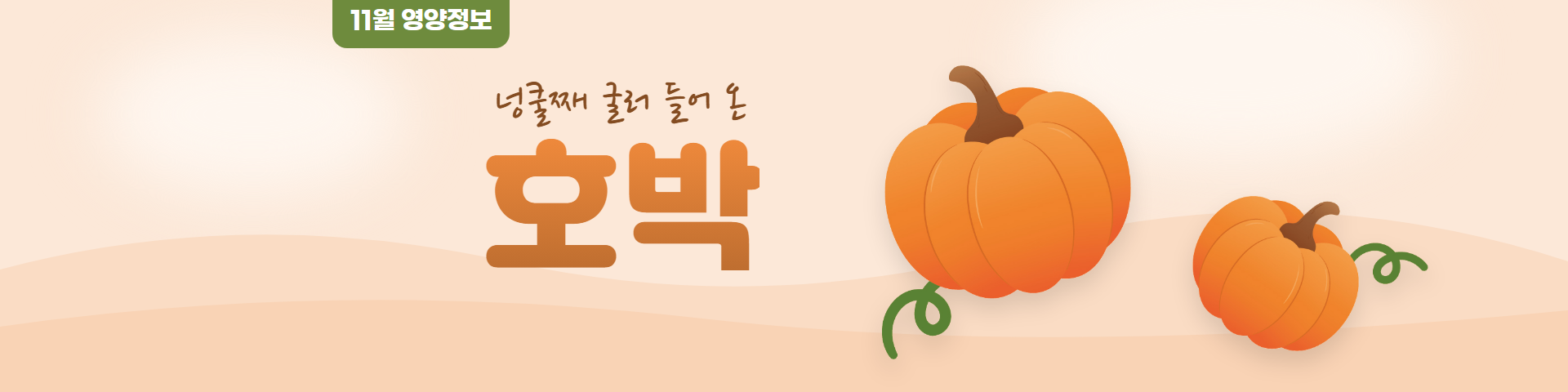 2026년 11월 영양정보