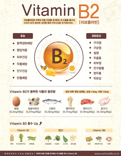 대지+1+사본.jpg