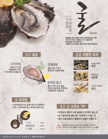 TFS사이즈-굴.jpg