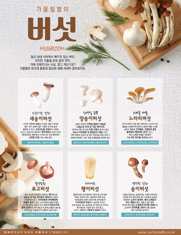 12월 버섯2.jpg