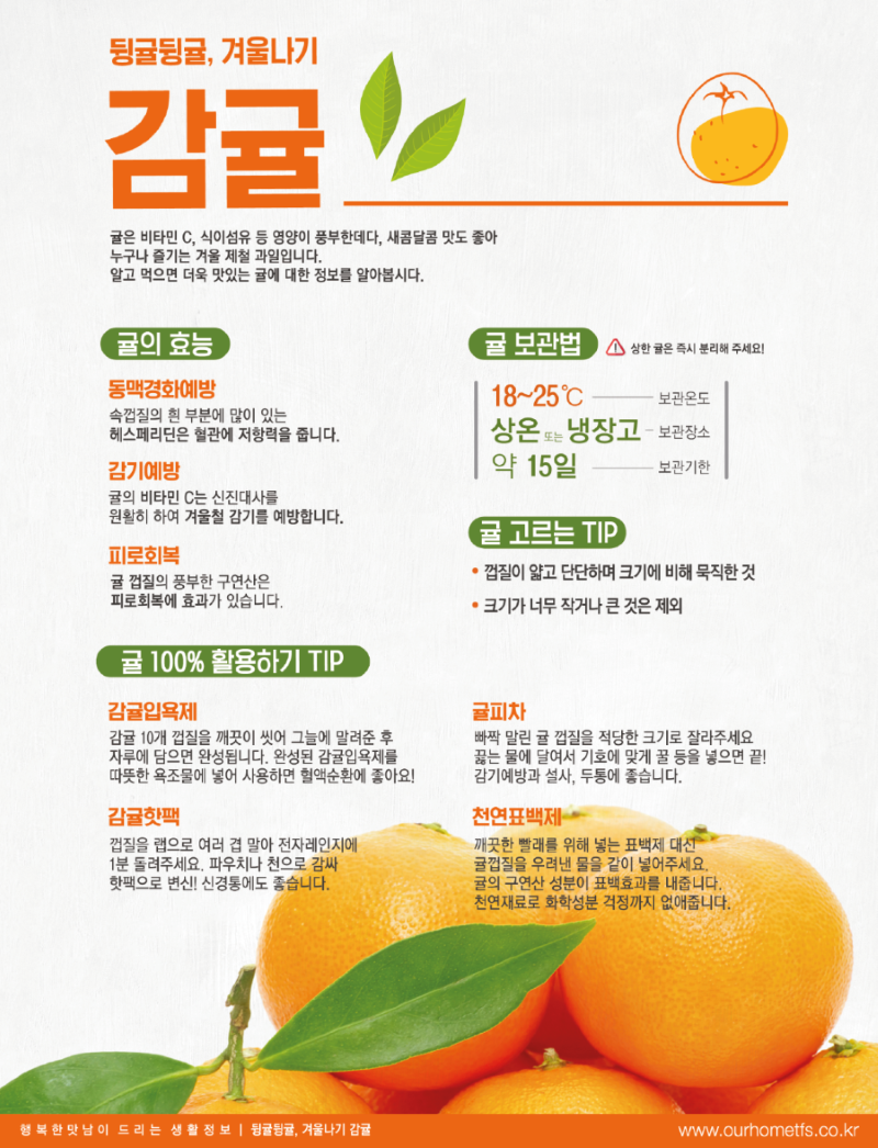 12월 감귤33.png