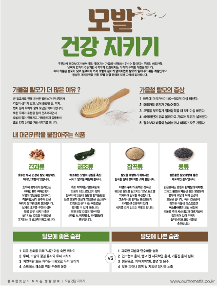 12월 모발건강.png