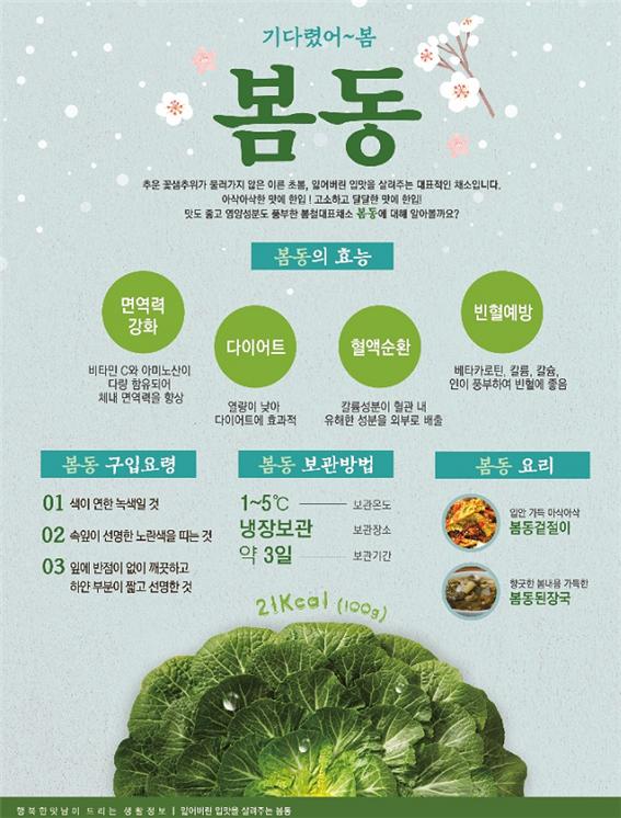 3월 봄동.jpg