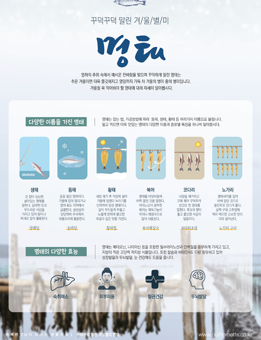 21년2월TFS+명태.png