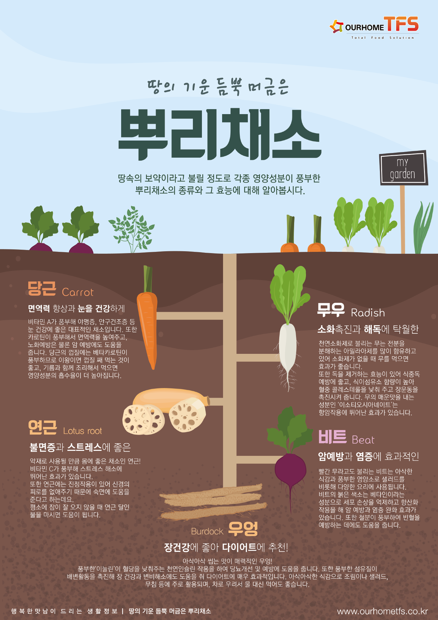 TFS+뿌리채소.png