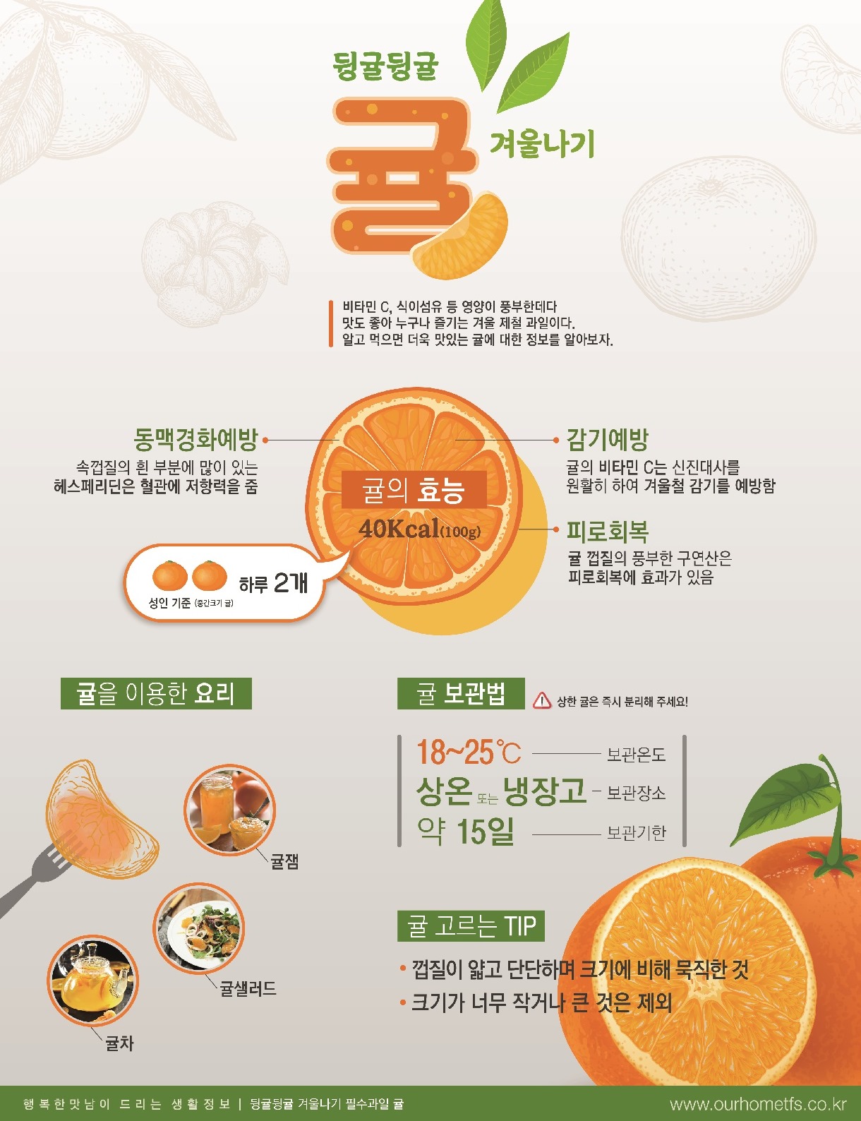 1월 귤.jpg