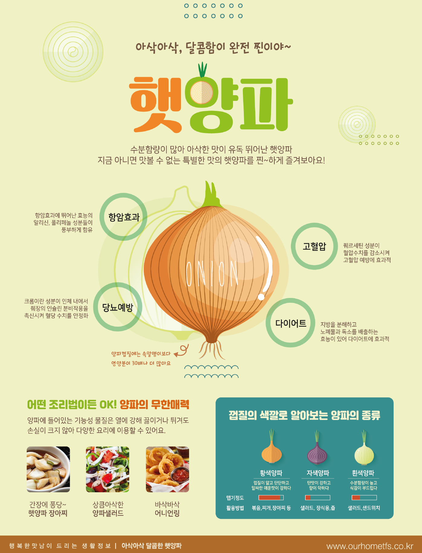 6월 햇양파.png