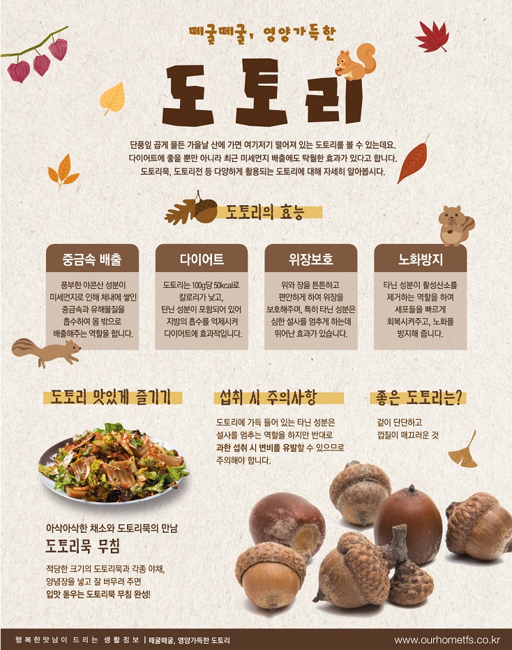 11월TFS+도토리.jpg