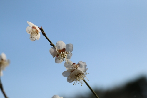 선암호수8.jpg