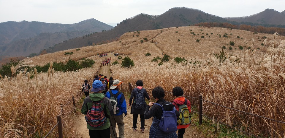 11.7 식당 단합대회 (6).jpg