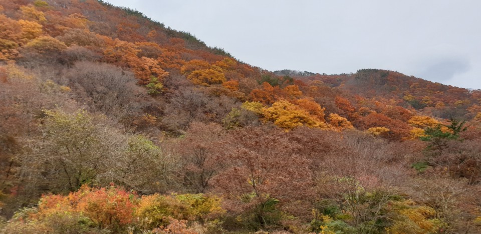 11.7 식당 단합대회 (15).jpg