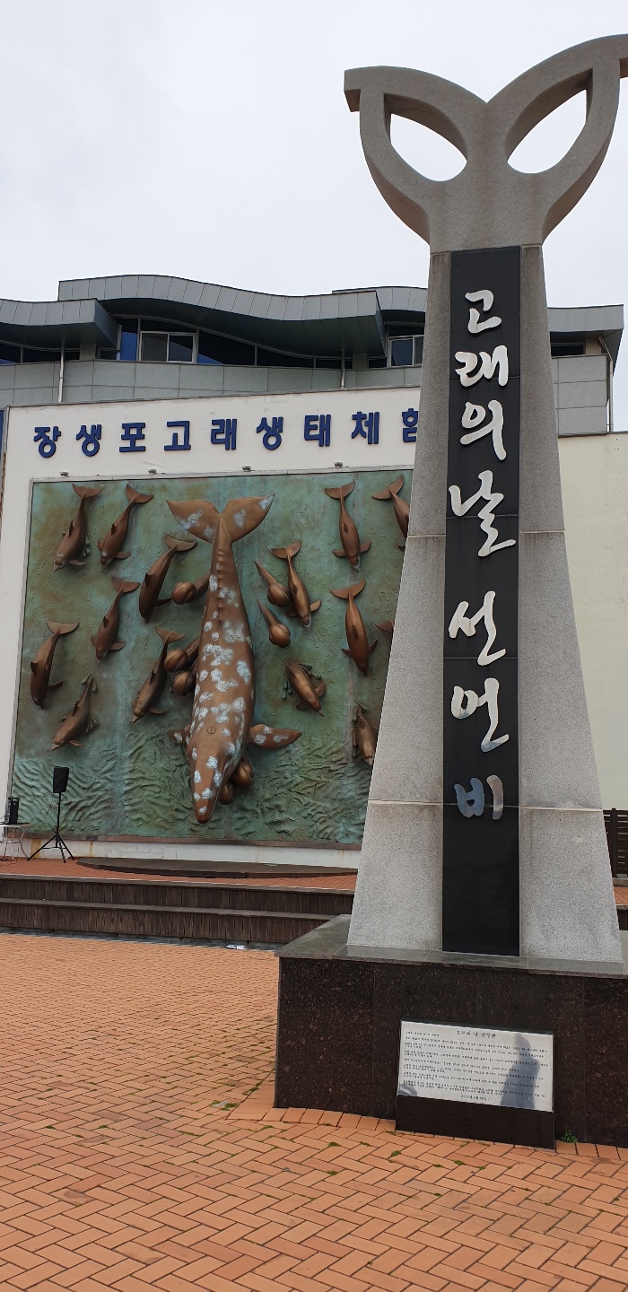 20190425 (28).jpg