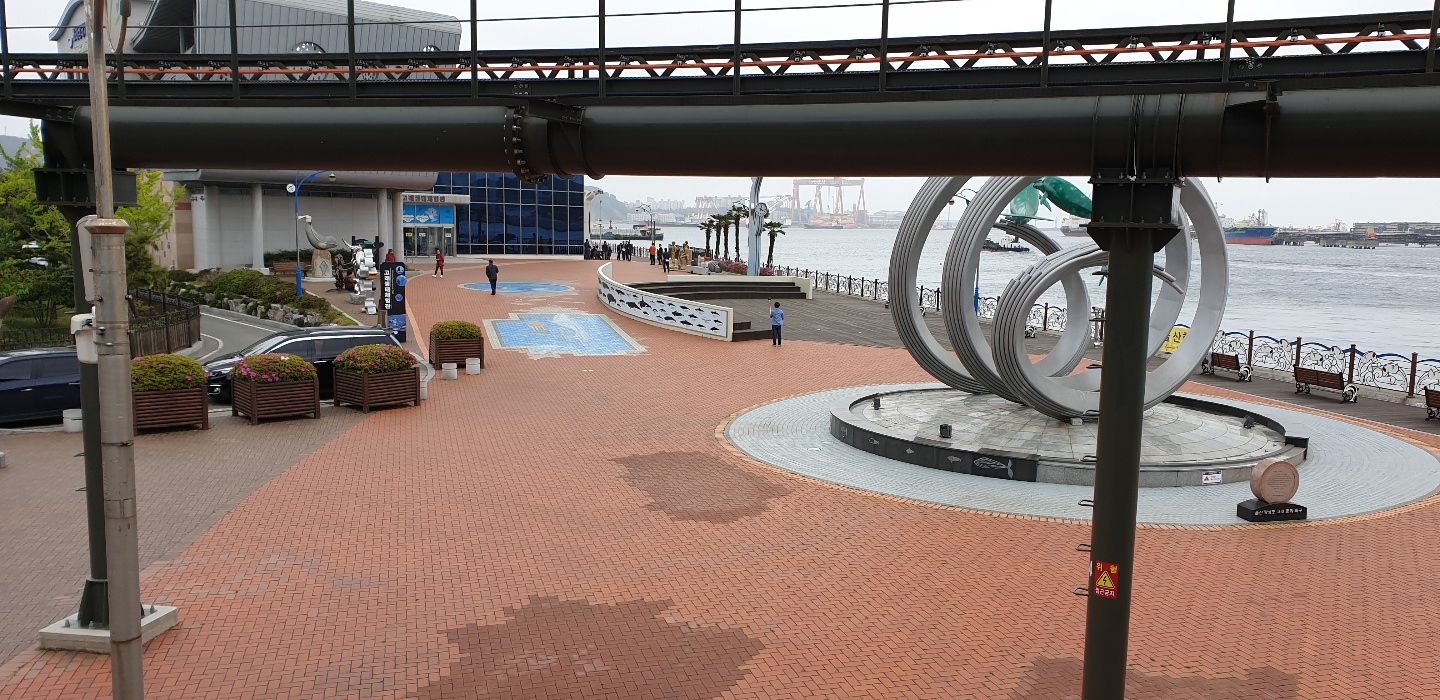 20190425 (30).jpg